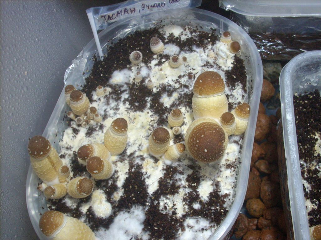 DSCN1335