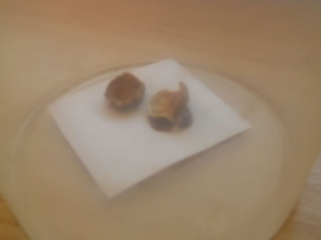 DSCN1387
