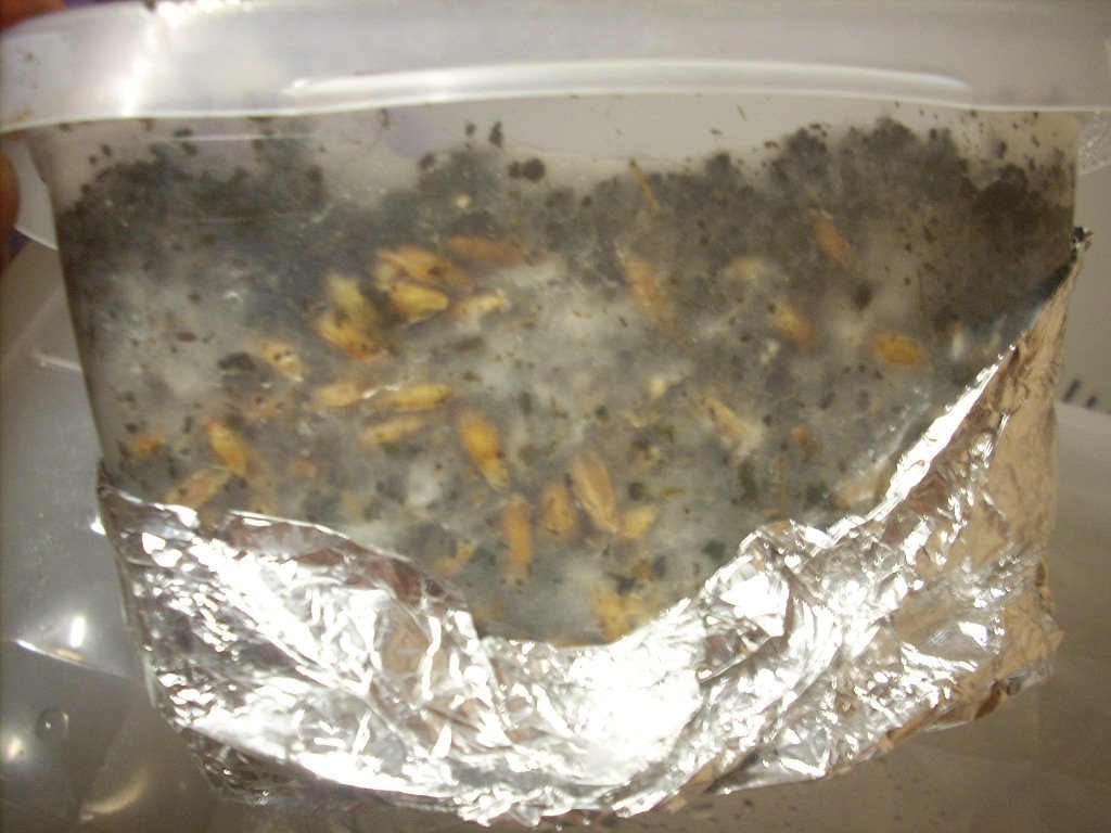DSCN1437