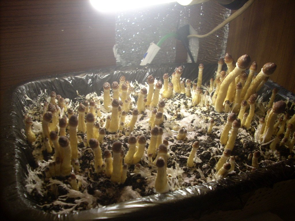 DSCN1438