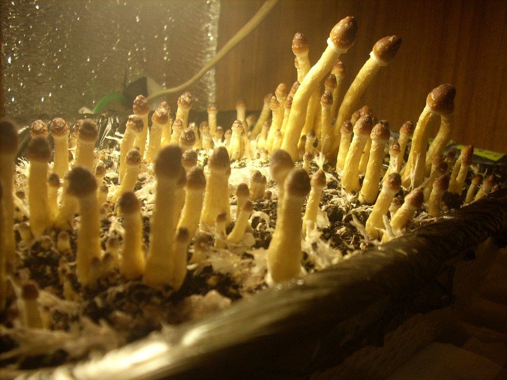DSCN1439