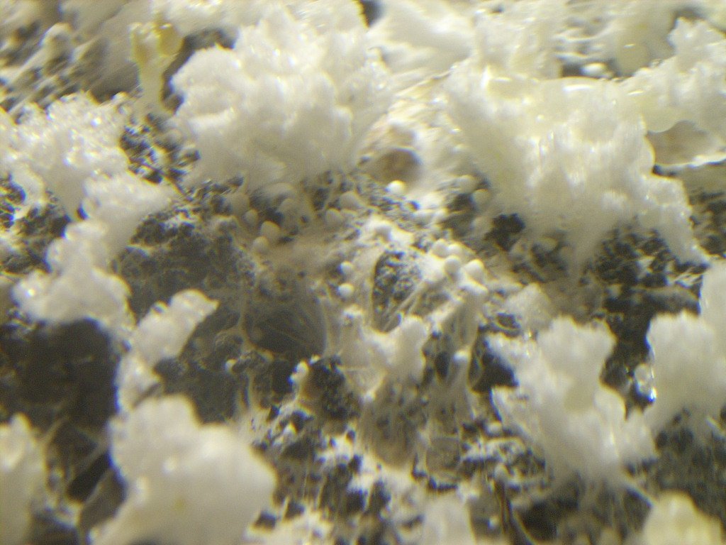 DSCN1446