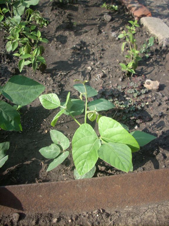 DSCN1467