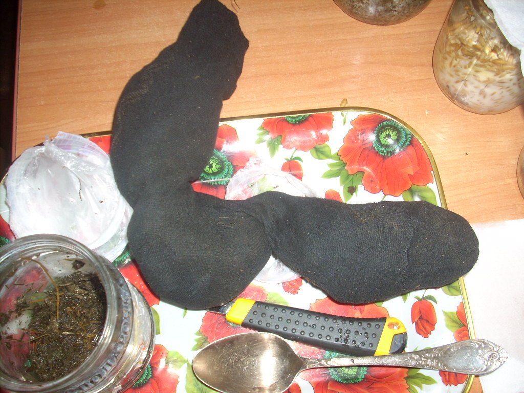 DSCN1479