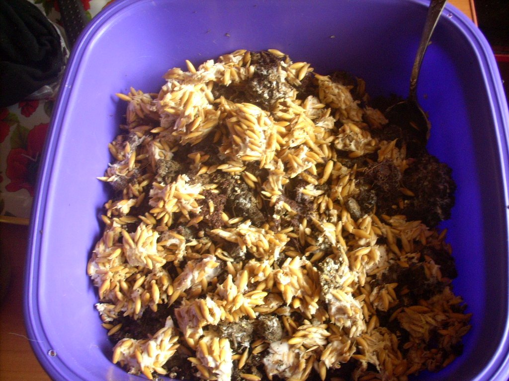 DSCN1480