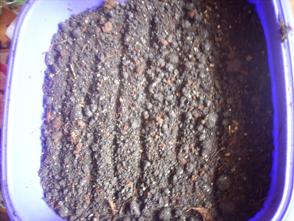 DSCN1482