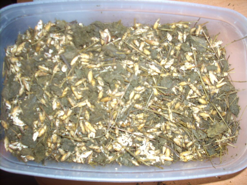 DSCN1484
