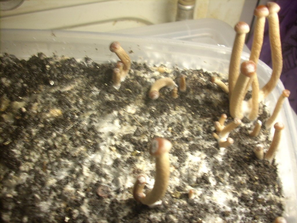 DSCN1491