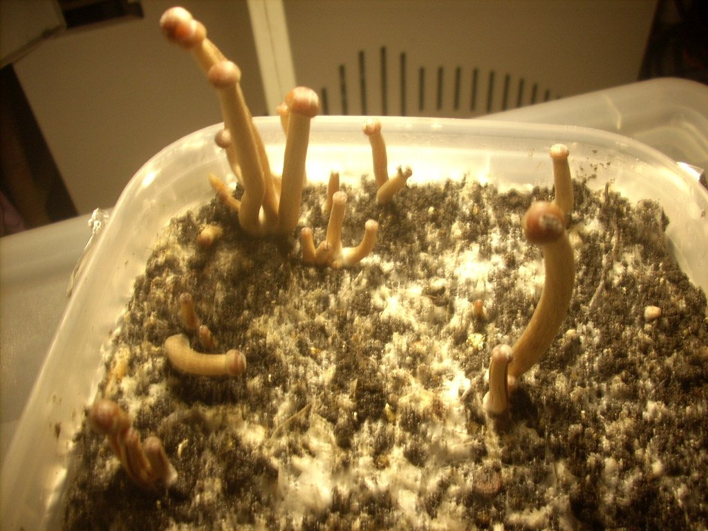 DSCN1492