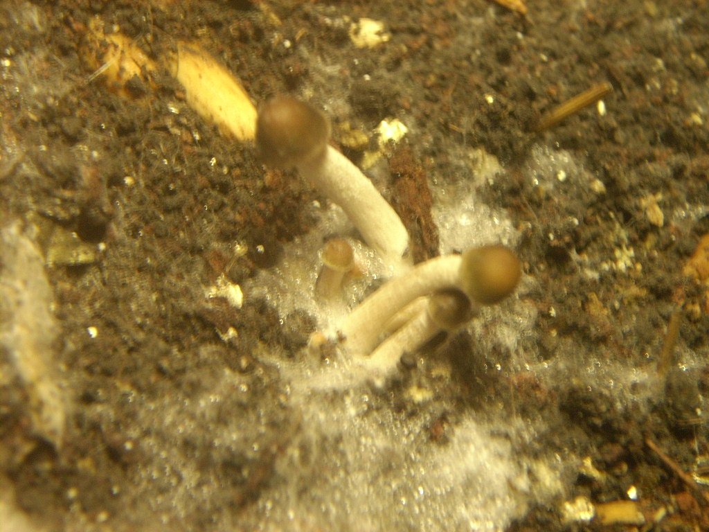 DSCN1552
