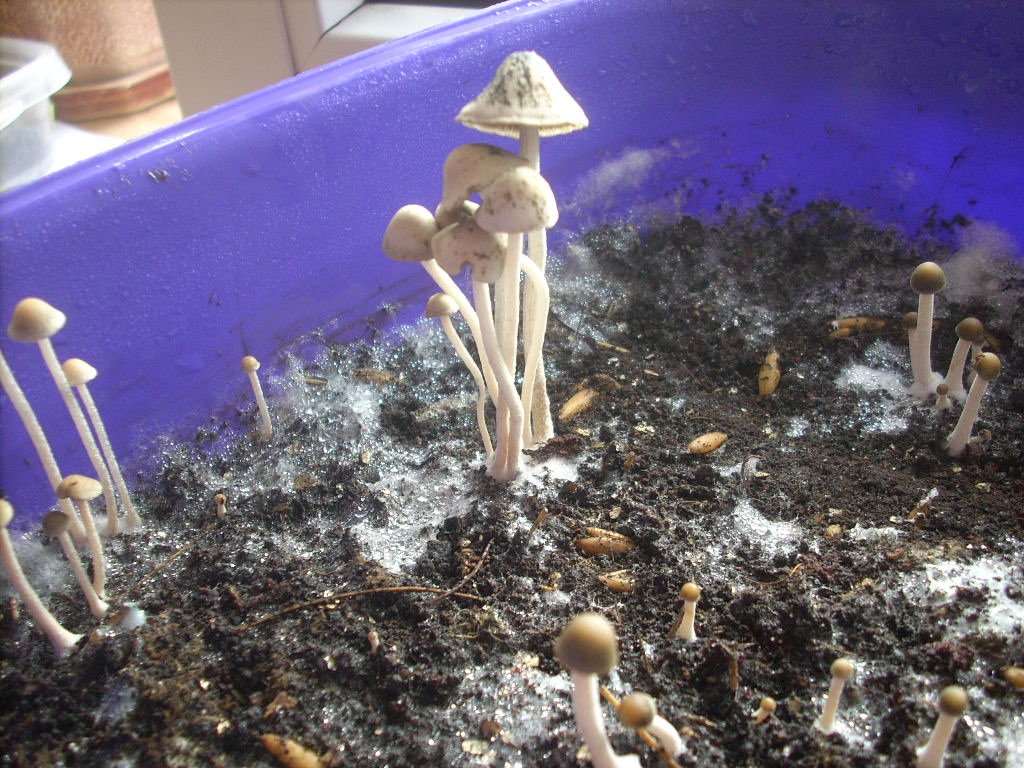 DSCN1556