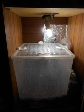 DSCN1594
