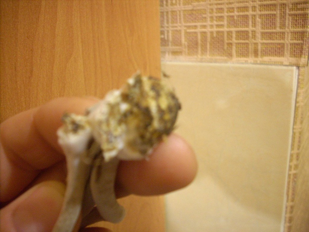 DSCN1770