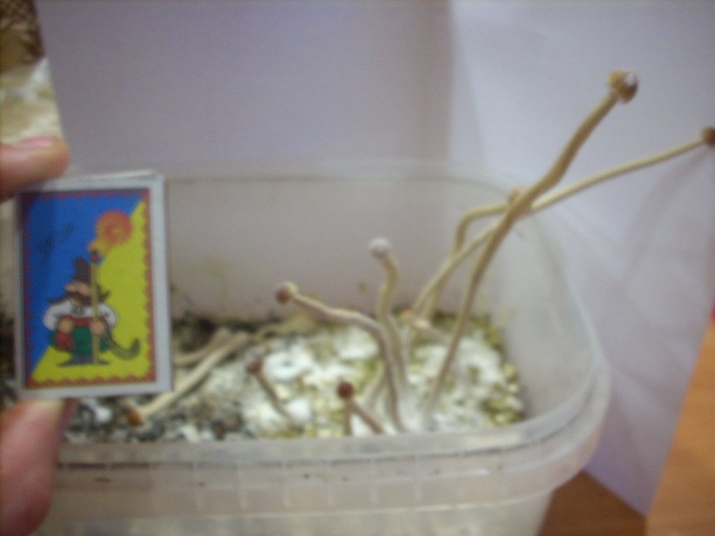 DSCN1775