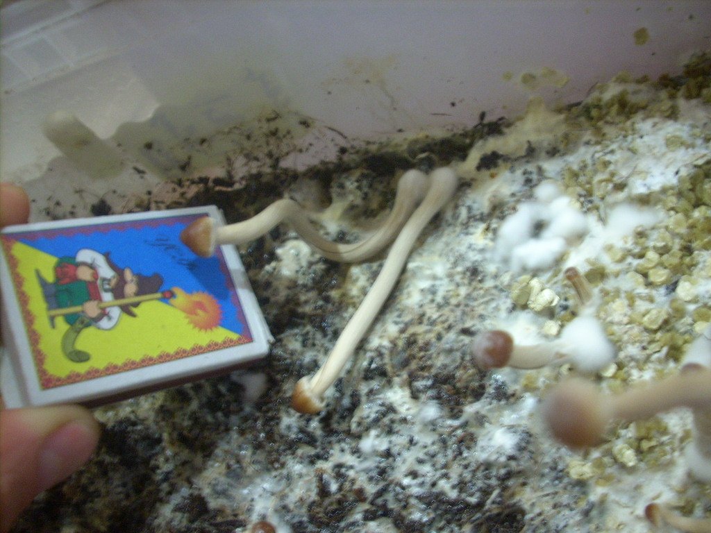 DSCN1777