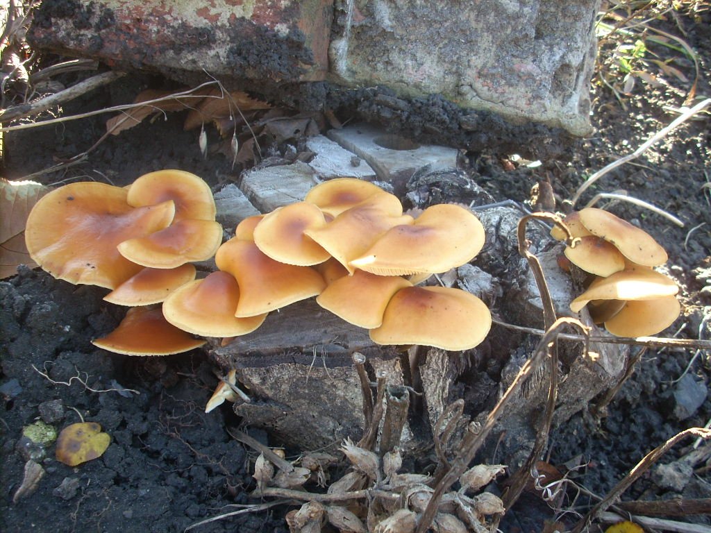 DSCN1789