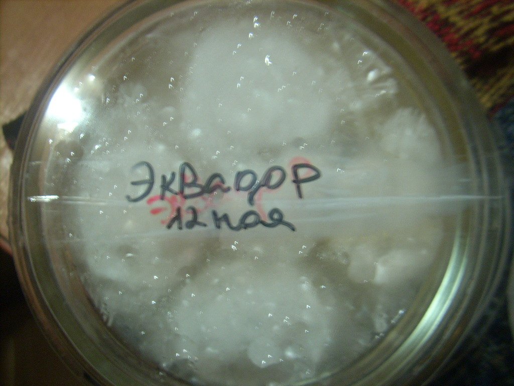 DSCN1855