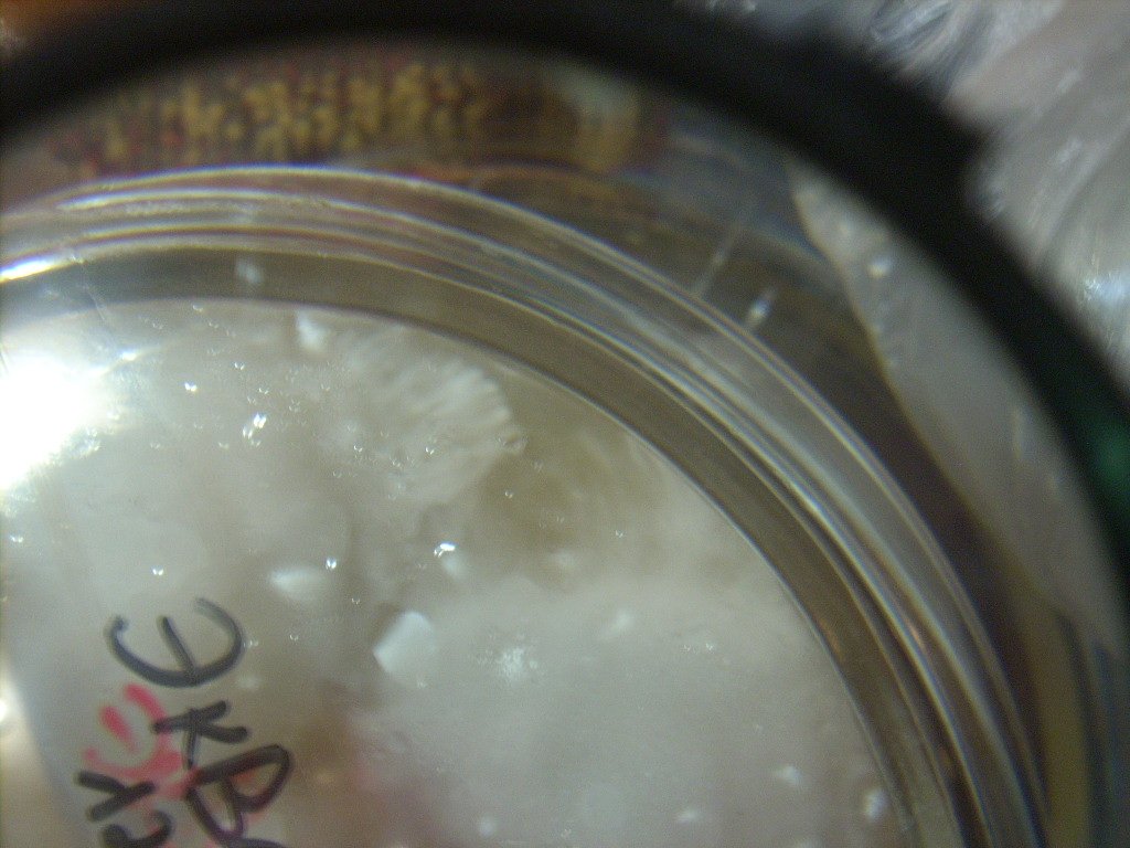 DSCN1857