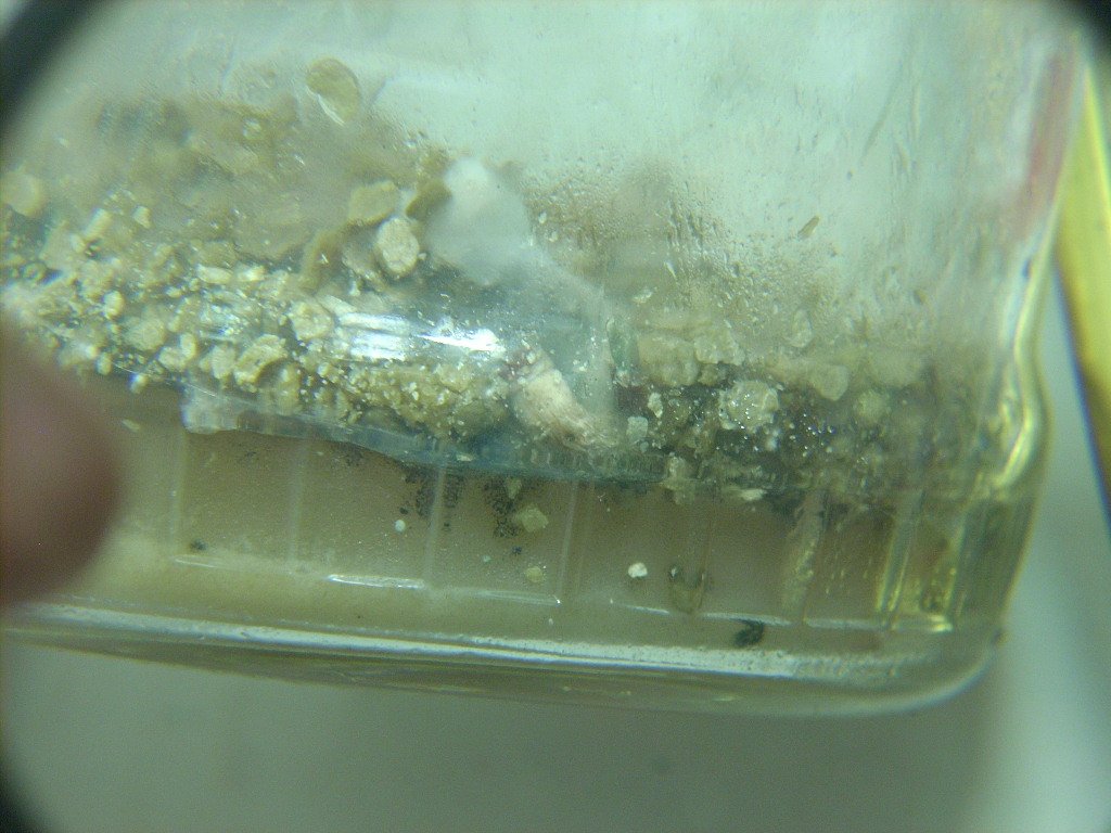 DSCN1888