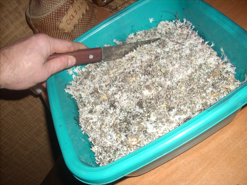 DSCN1906