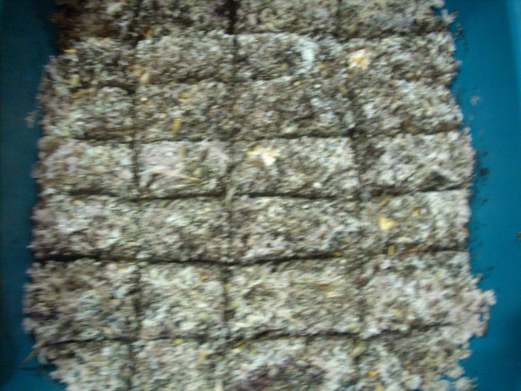DSCN1909