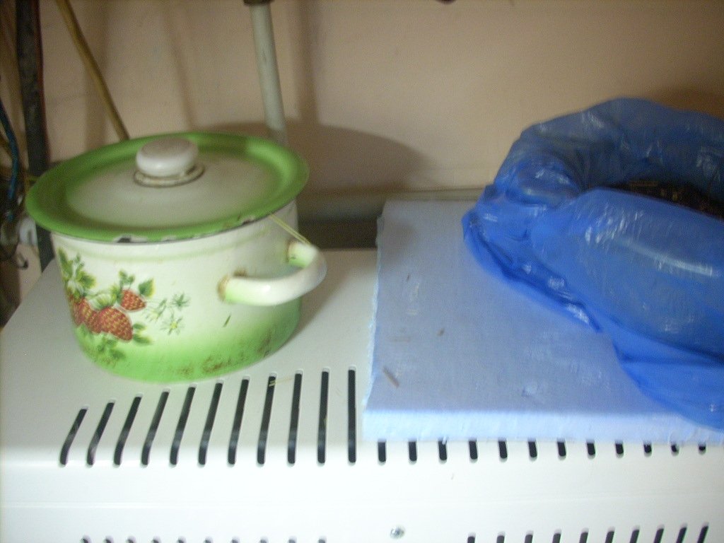 DSCN1961