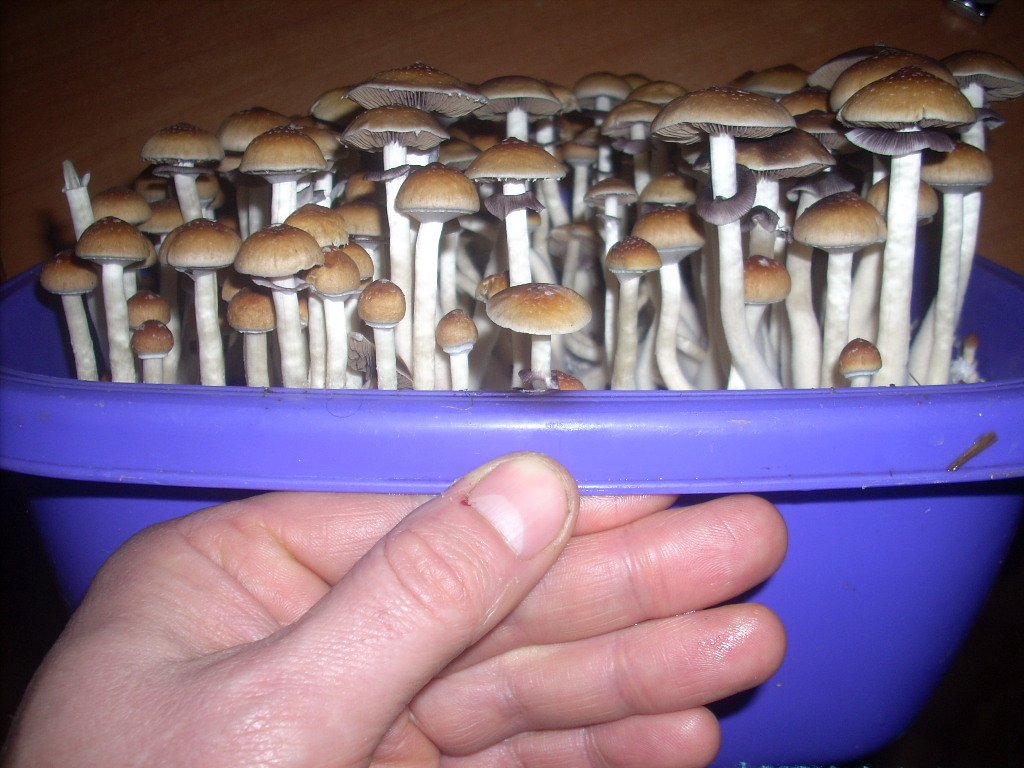 DSCN2030