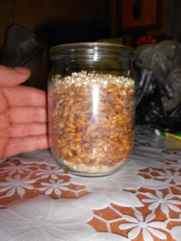 DSCN2831