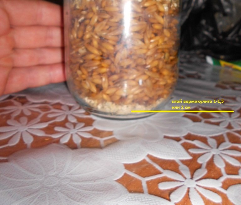 DSCN2831