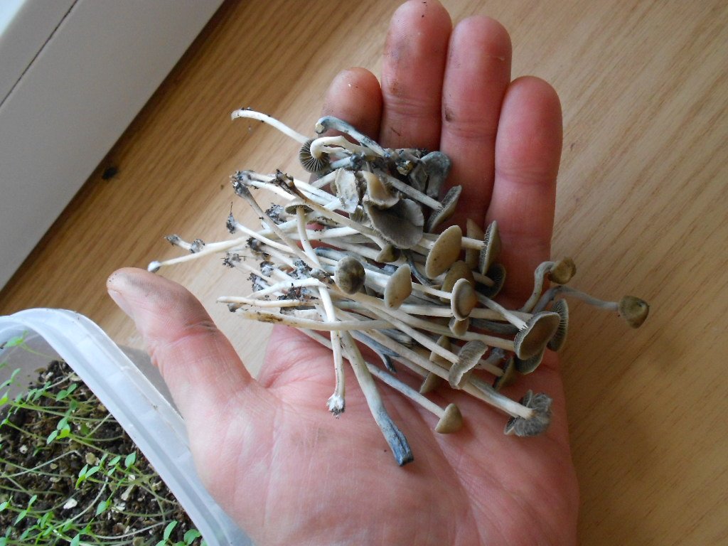 DSCN2857