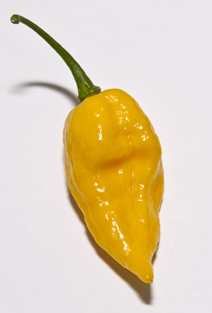 Fatalii