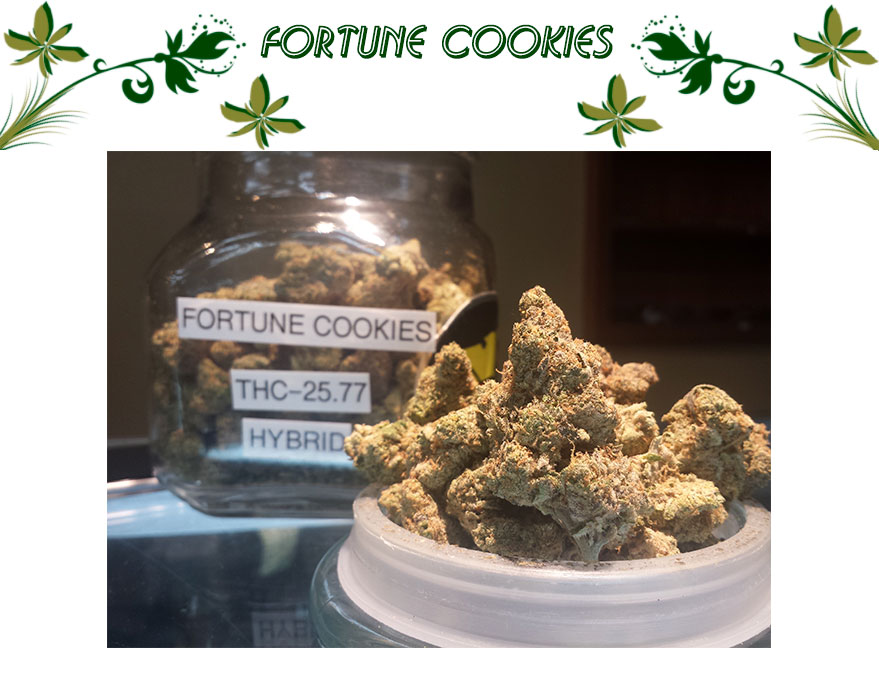 Fortune Cookies