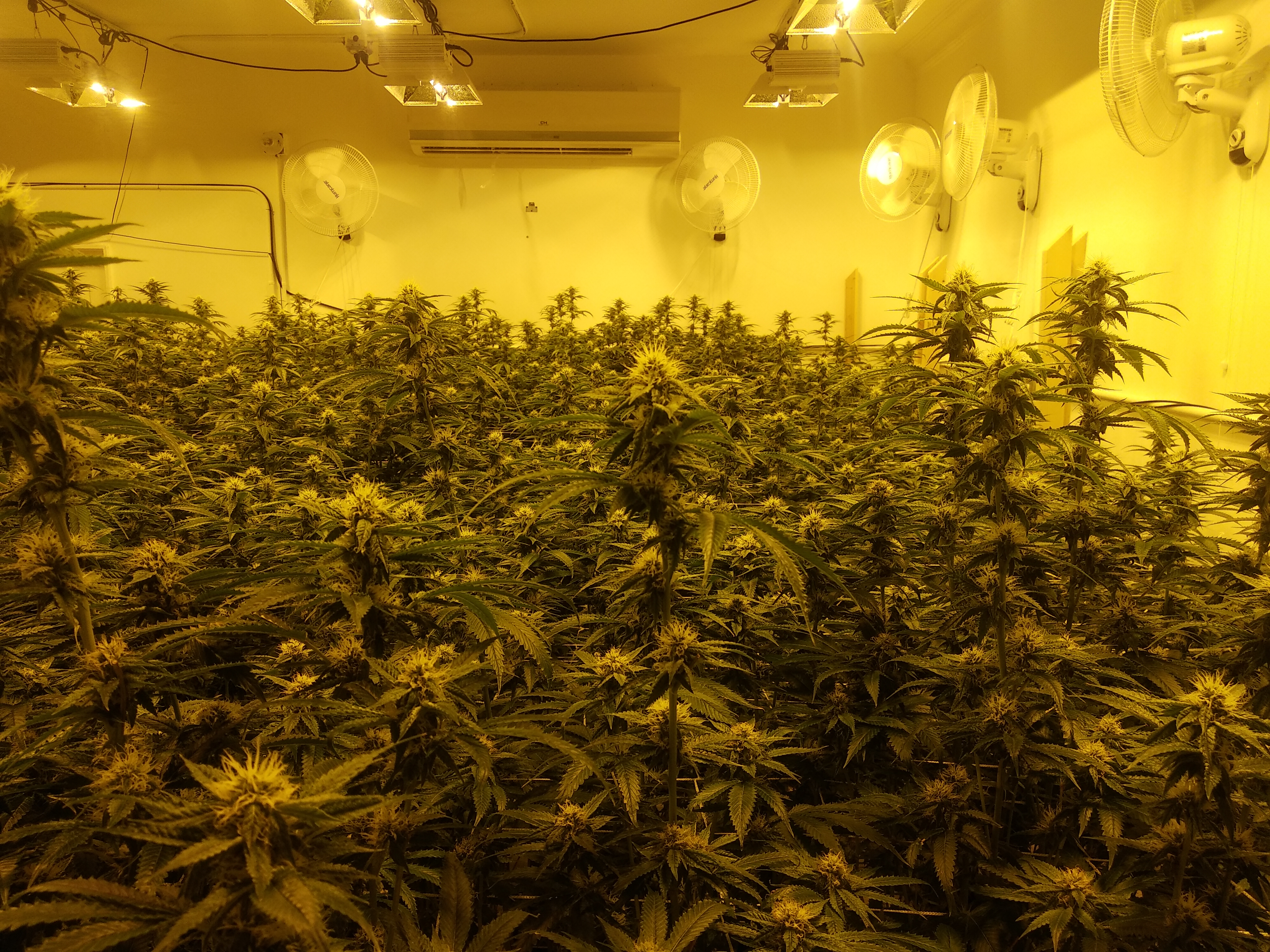 Фото без включенных HPS