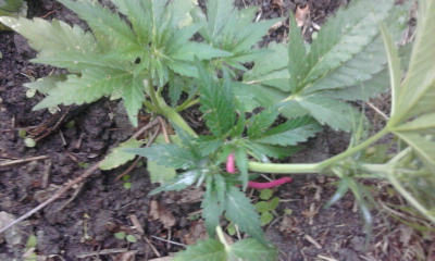 Фото0889