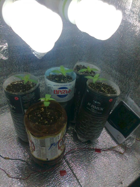 Фото0972