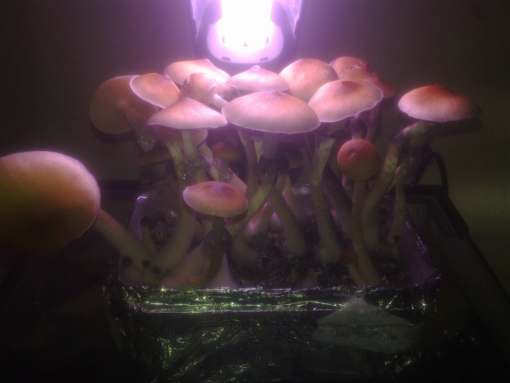 Фото1220