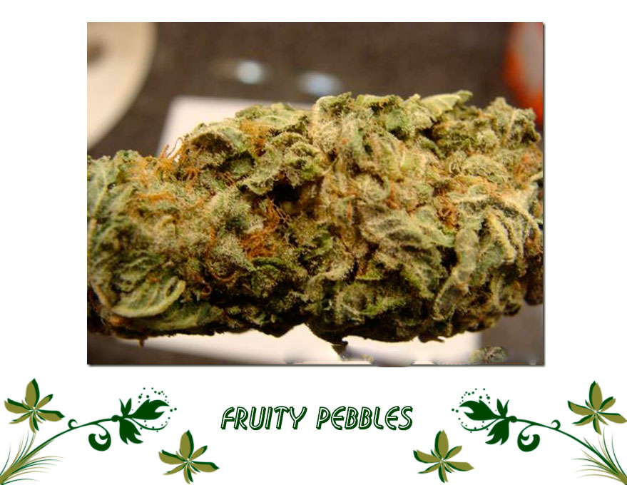 Fruity Pebbles сорт