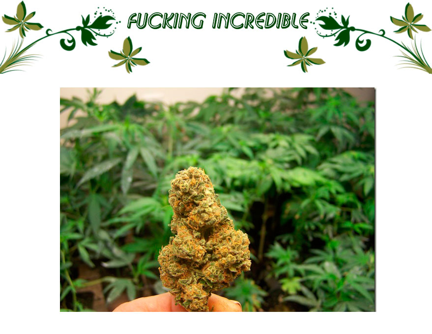Fucking Incredible