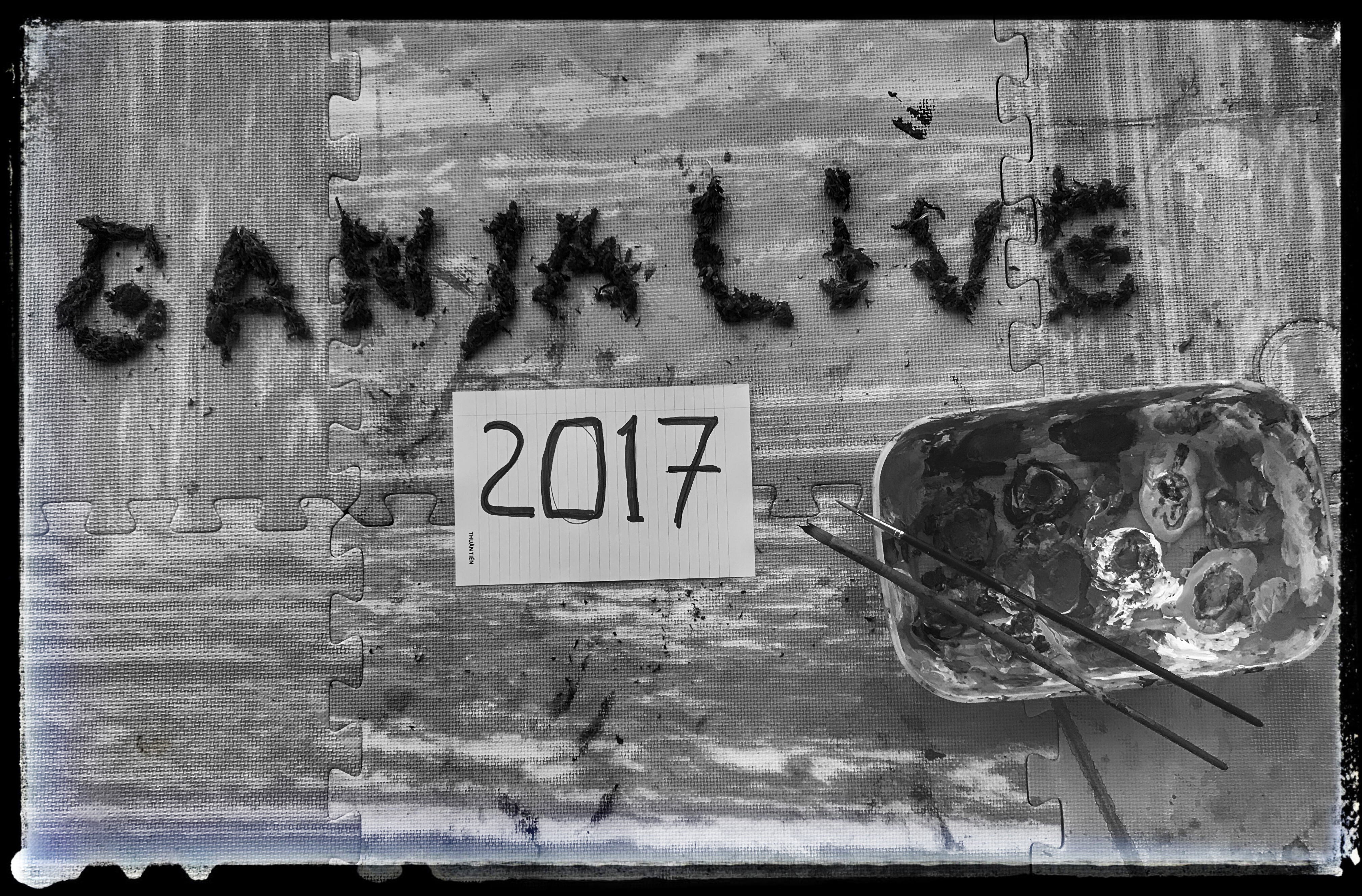 GanjaLive-конкурс 2017 шишки