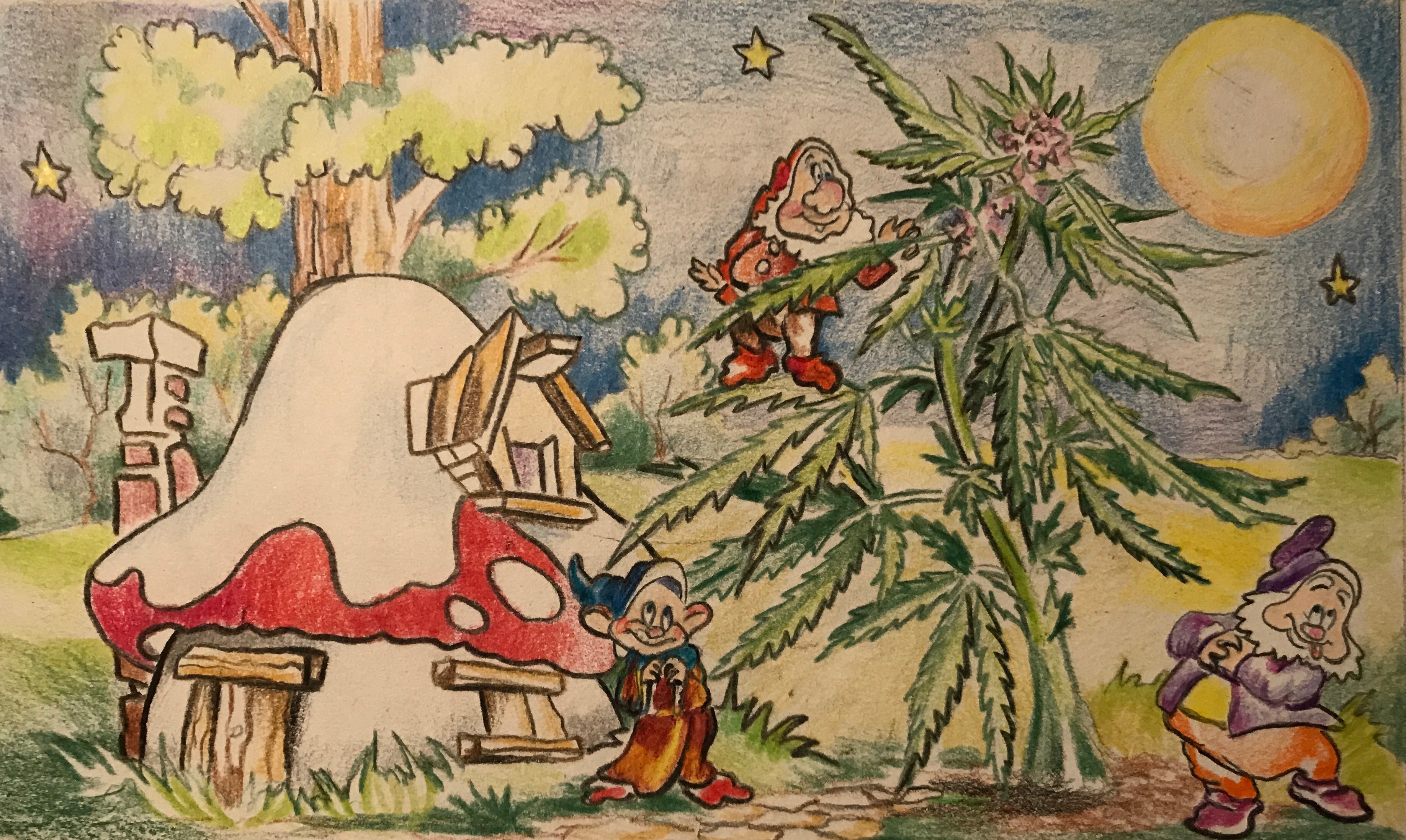 GanjaLive-picture цветение