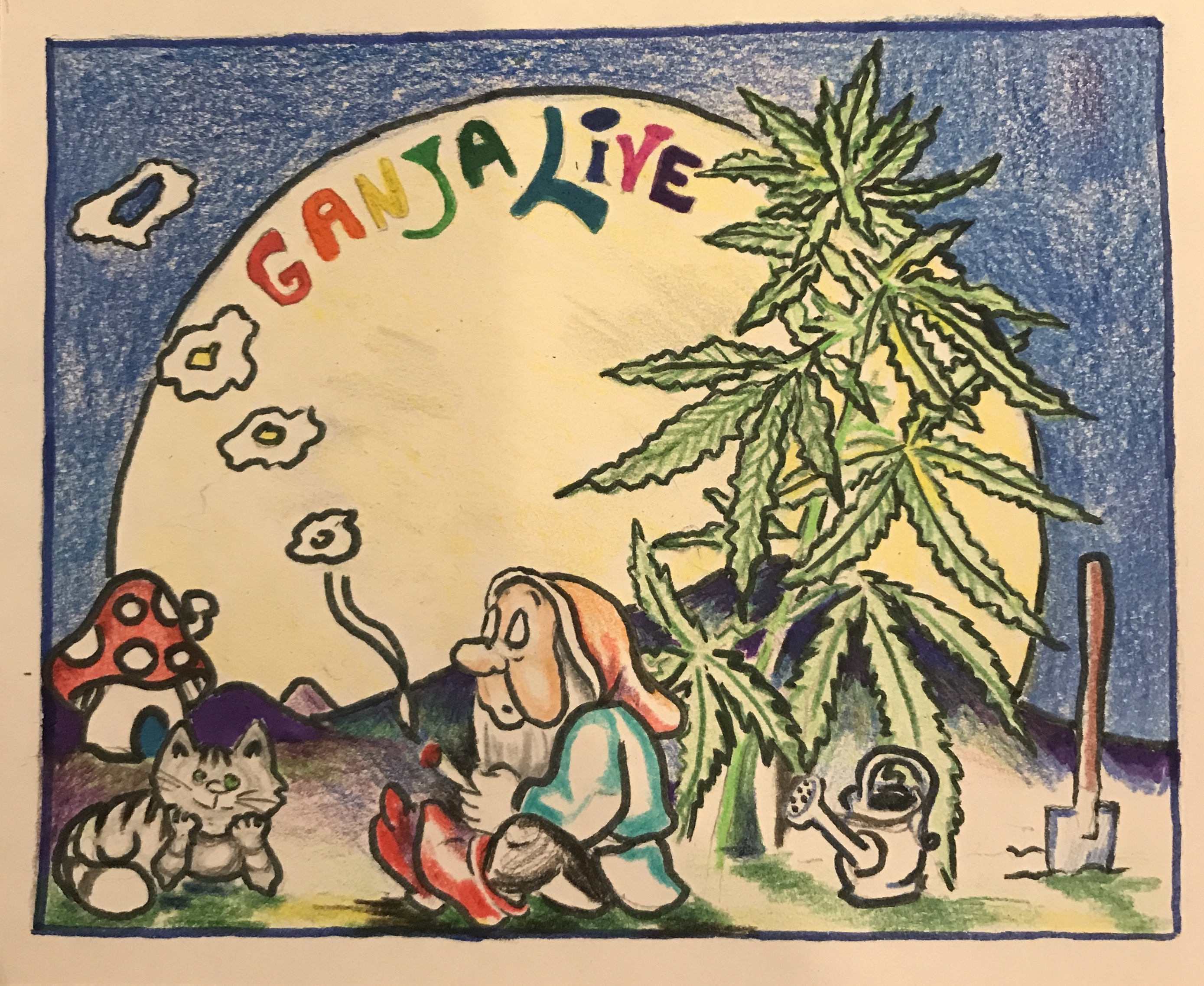 GanjaLive-picture вегетация
