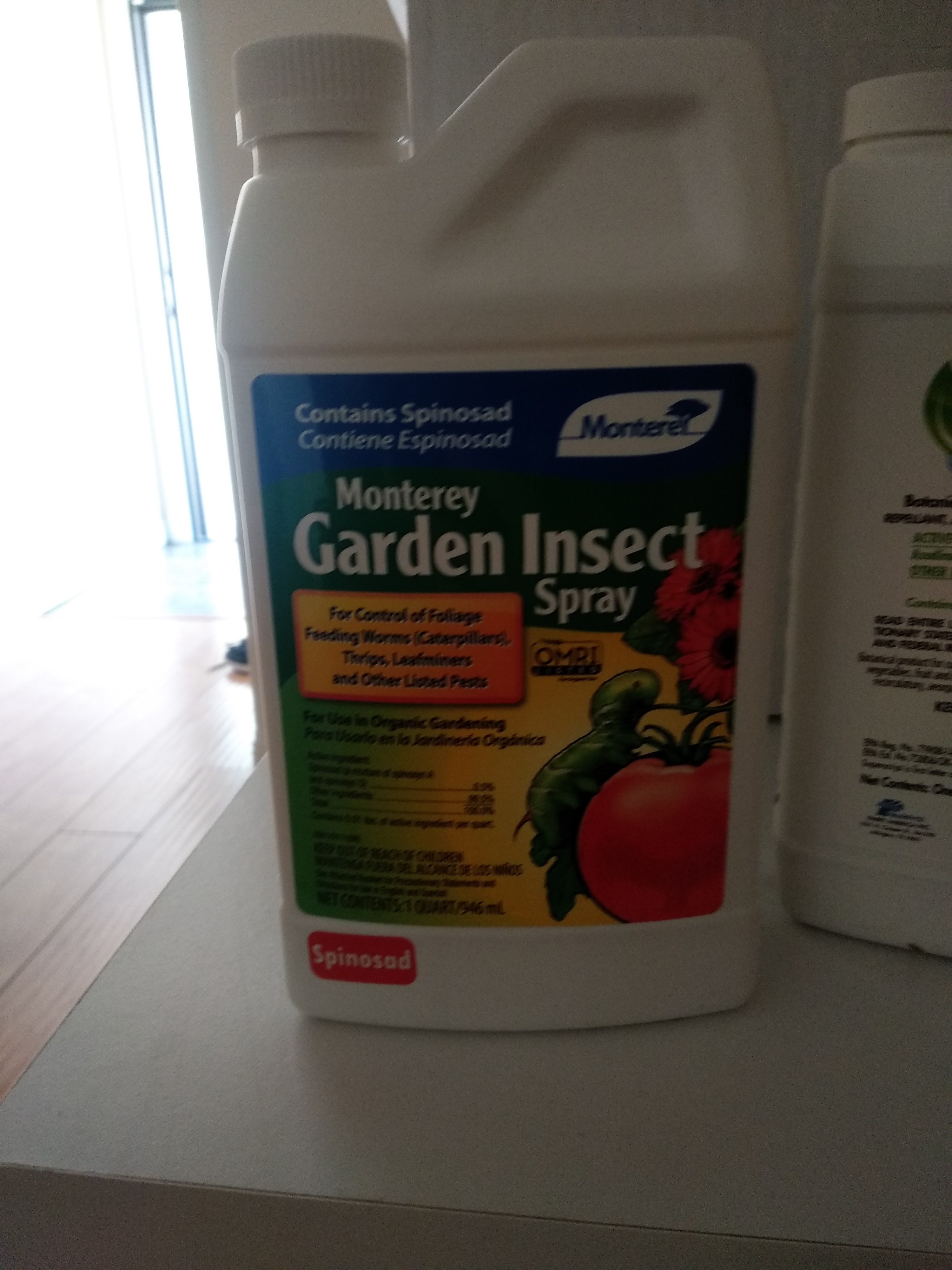 Garden Insect
