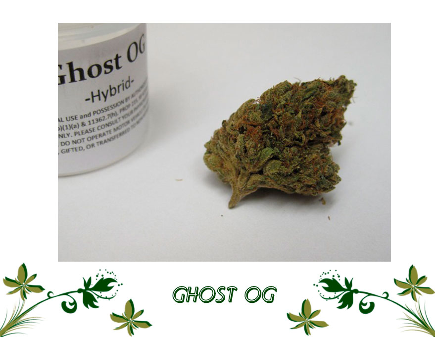 Ghost OG сорт