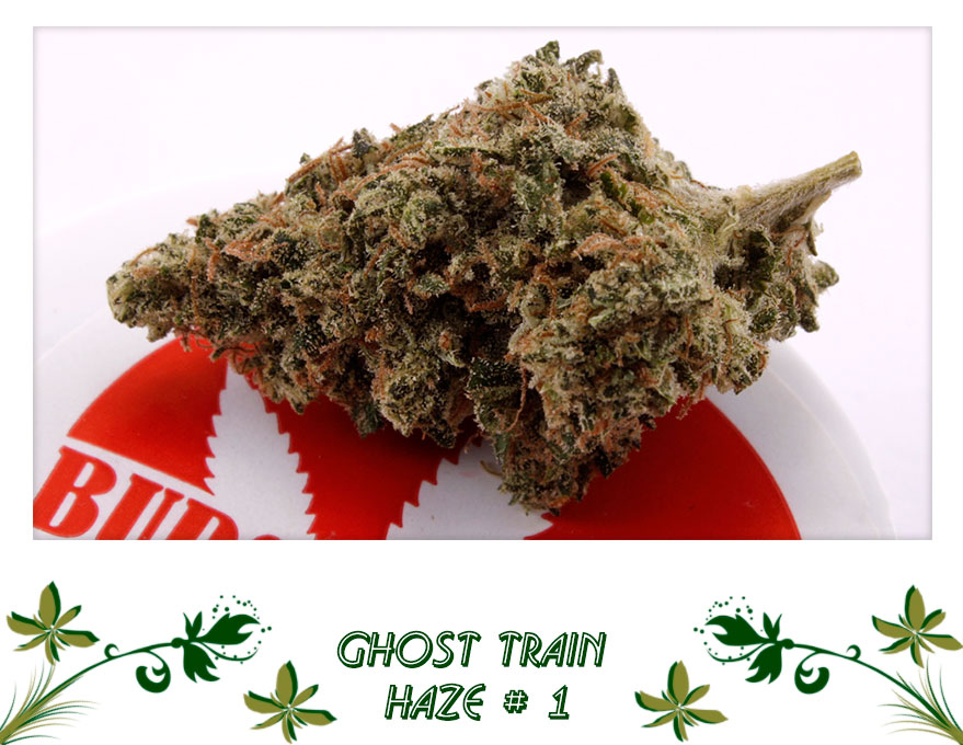 Ghost Train Haze # 1 сорт