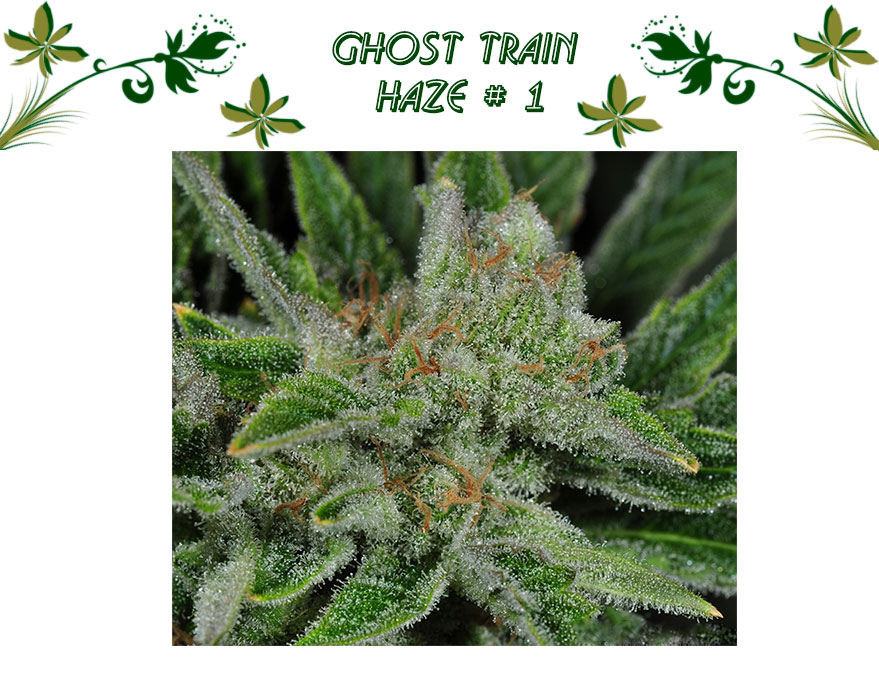 Ghost Train Haze # 1