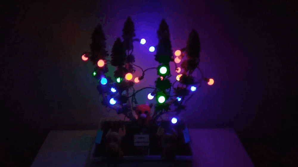 GIF-201229_160639.gif