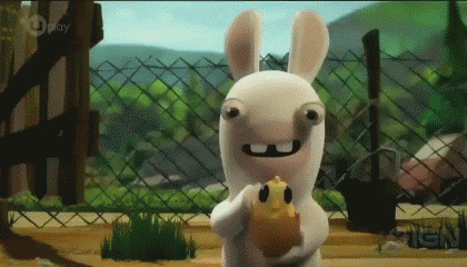 gifs 24
