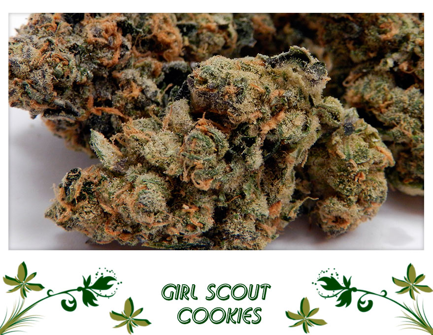 Girl Scout Cookies сорт