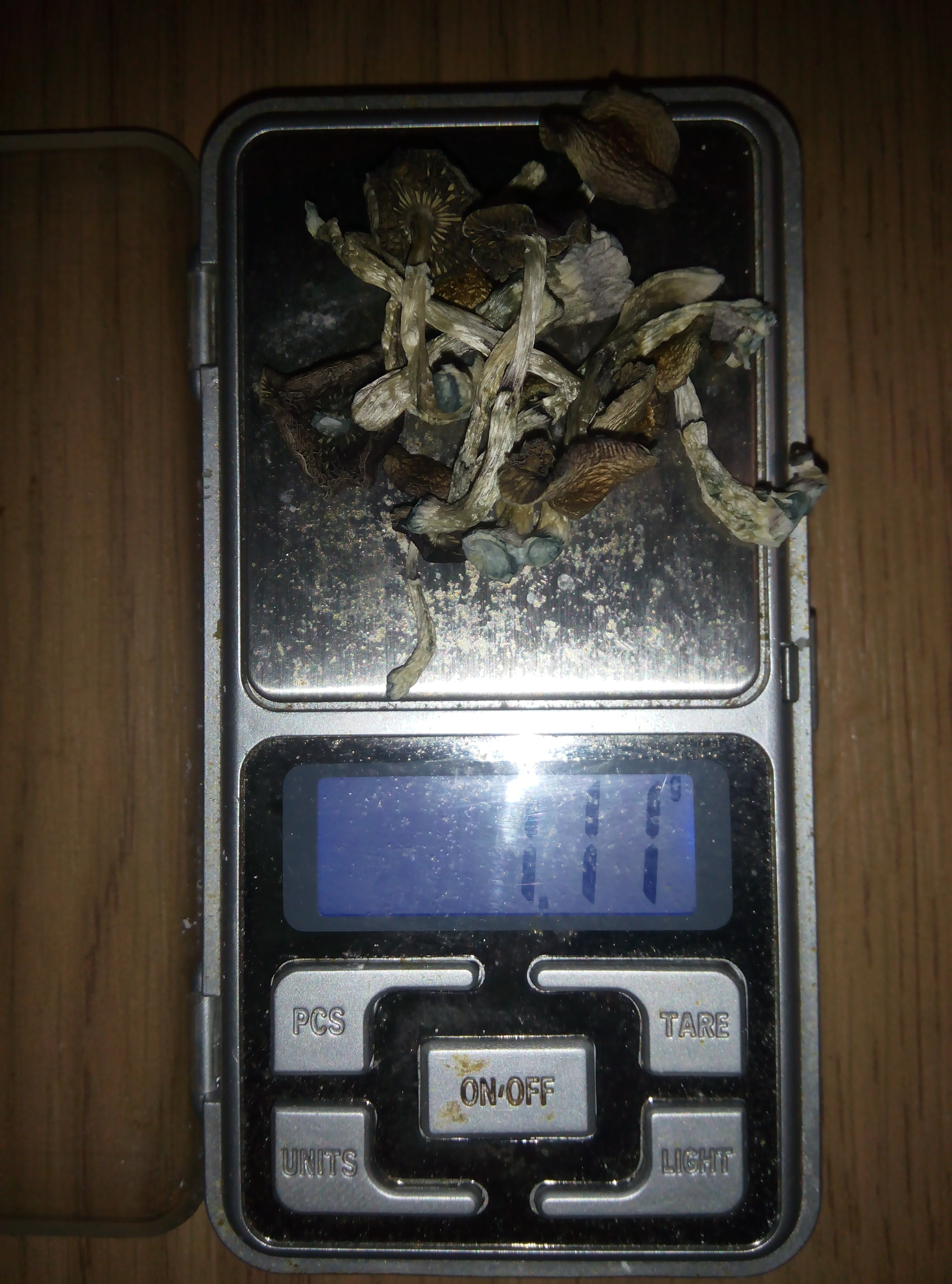 Грибы Pink Buffalo Источник: http://ganjalive.org/index.php?app=gallery&module=images§ion=review&do=process © GanjaLive.org