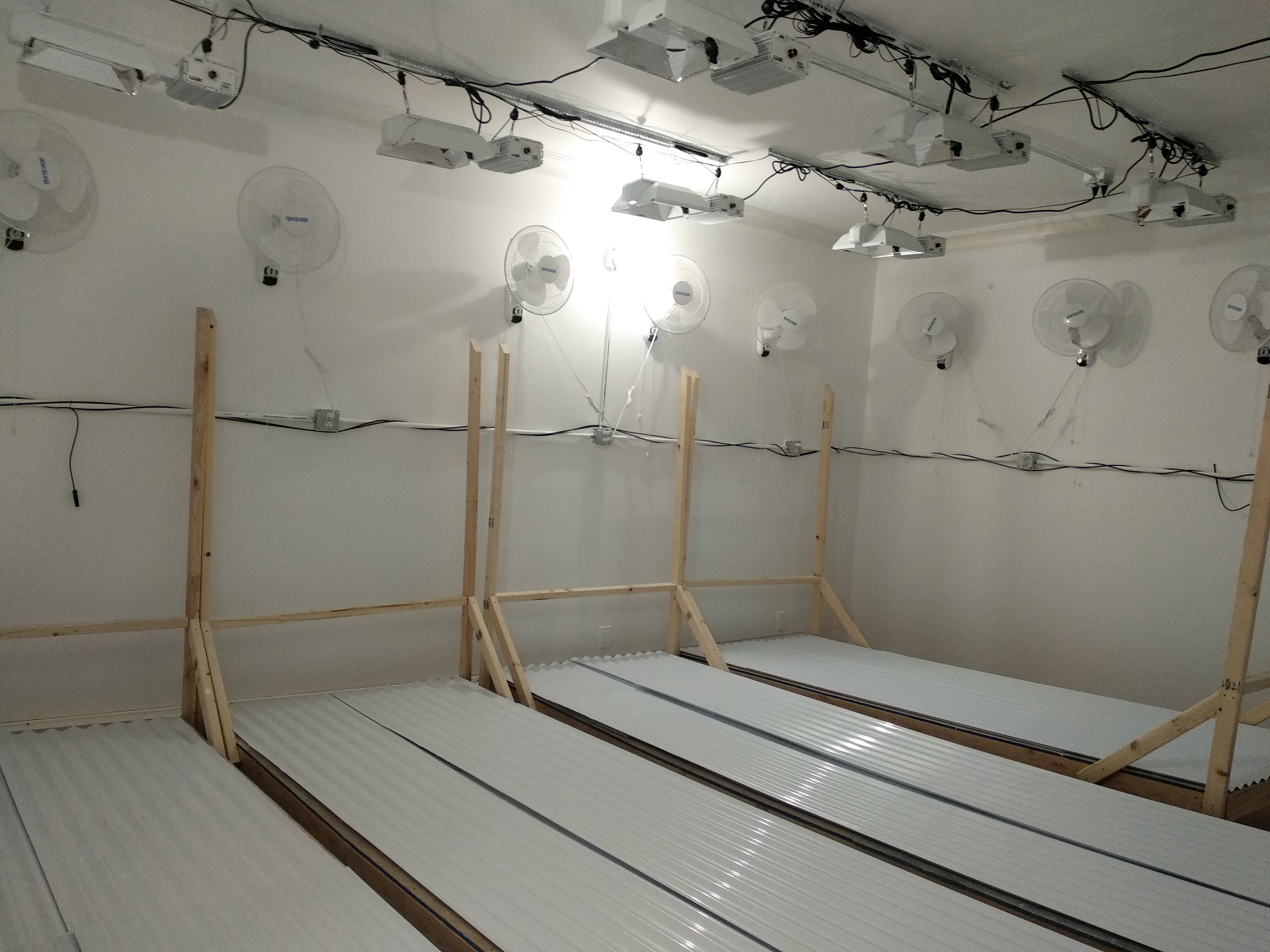 GrowRoom № 1